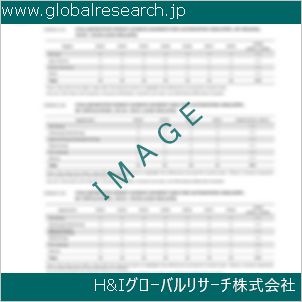 グローバルリサーチ調査資料のイメージ